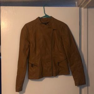 Baccini brown leather jacket